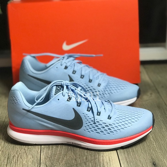 pegasus 34 ice blue